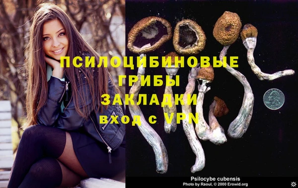 винт Алексеевка