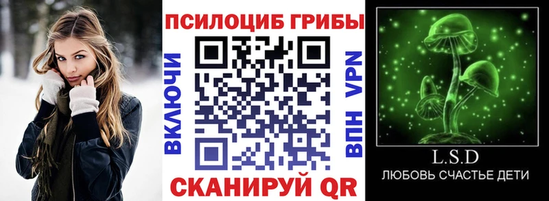 купить закладку  Королёв  Галлюциногенные грибы прущие грибы 